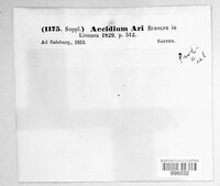 Puccinia sessilis image